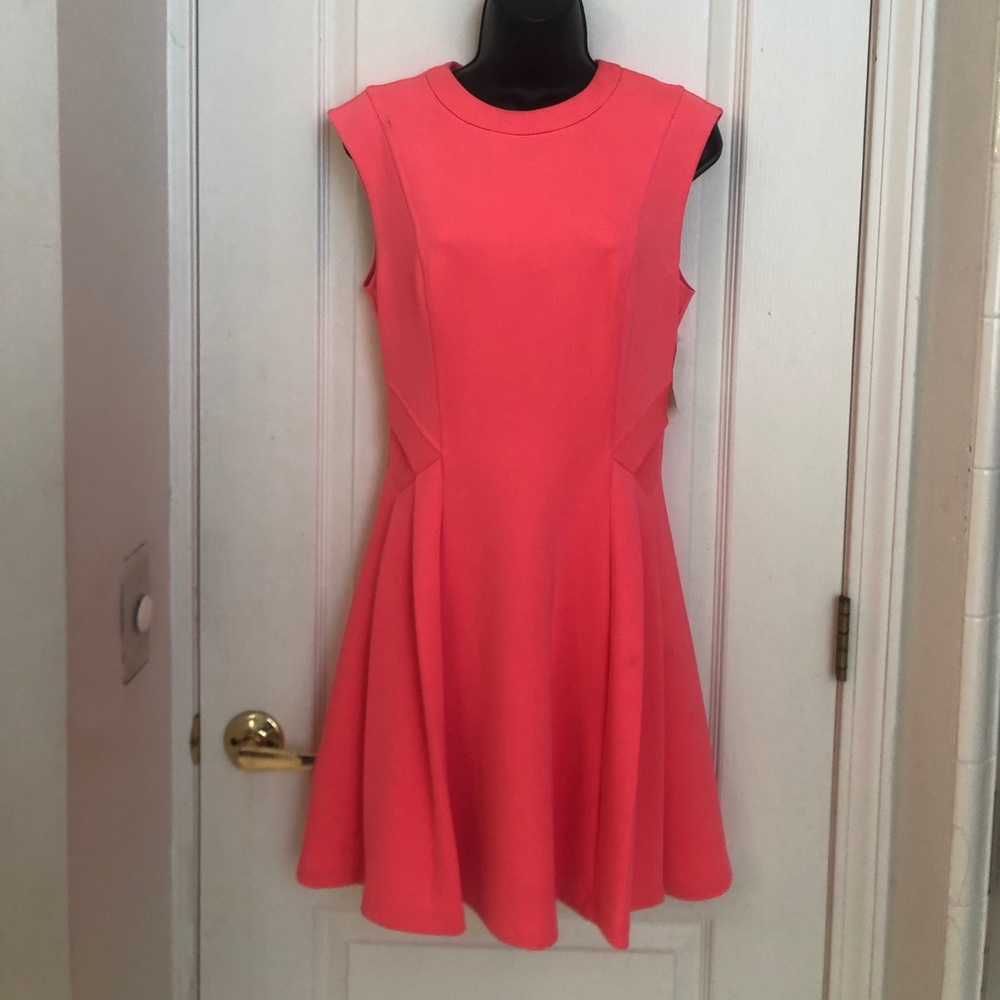Ted Baker London Sow in Love pink dress